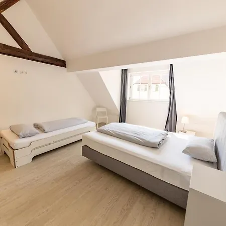 Braviscasa - Ferienresidenz Europa Park Apartman Kenzingen